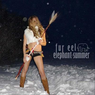 Elephant Summer's cover