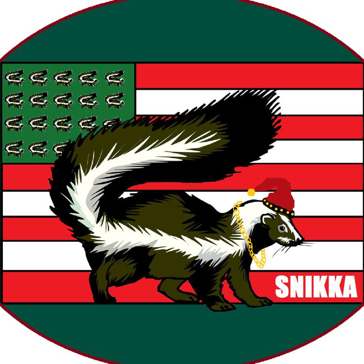 Snikka's avatar image
