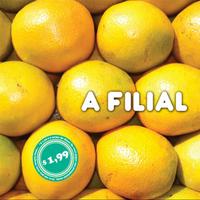 A Filial's avatar cover