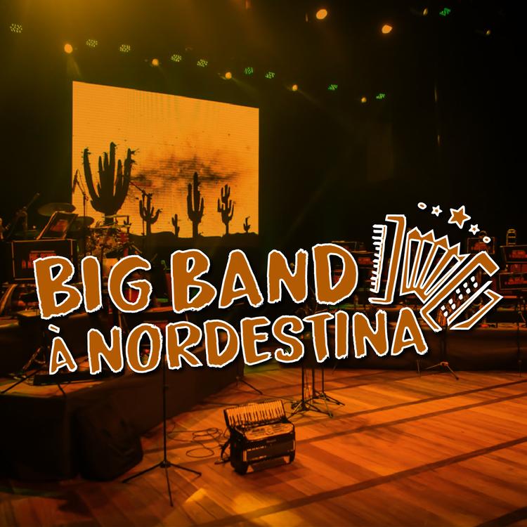 Big Band à Nordestina's avatar image