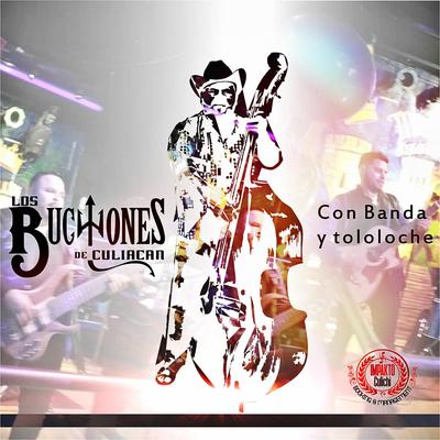 Los Buchones Con Banda y Tololoche's cover