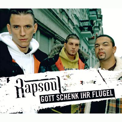 Gott schenk Ihr Flügel By Rapsoul's cover