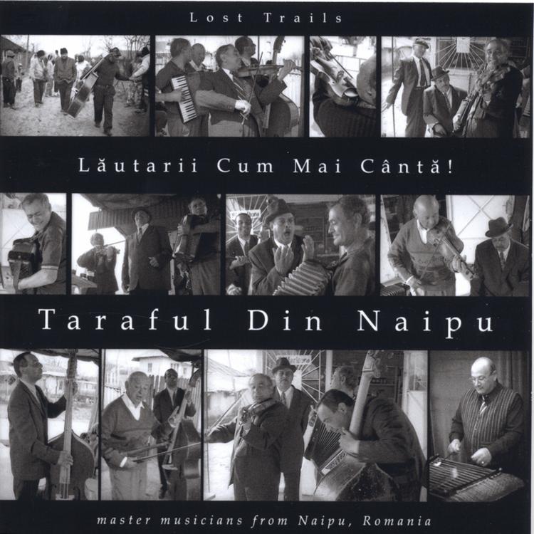 Taraful Din Naipu's avatar image