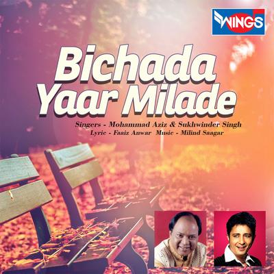 Bichada Yaar Milade's cover