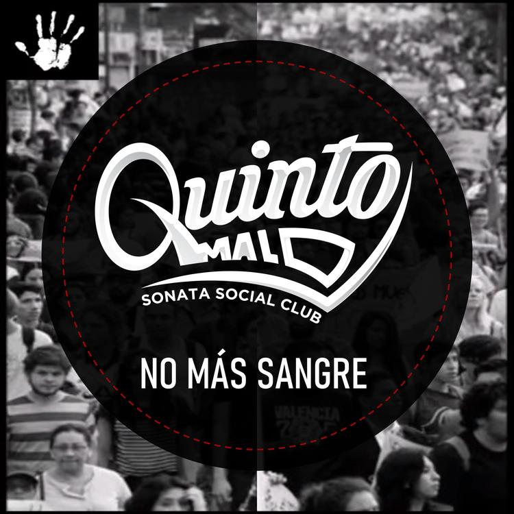 Quinto Malo S.S.C.'s avatar image