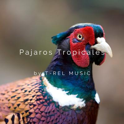 Pajaros Tropicales's cover