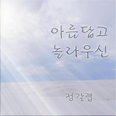 아름답고 놀라우신's cover