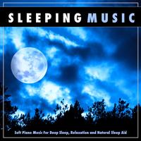Music for Sleep's avatar cover
