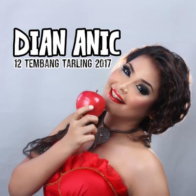 Dian Anic 12 Tembang Tarling Dangdut 2017's cover