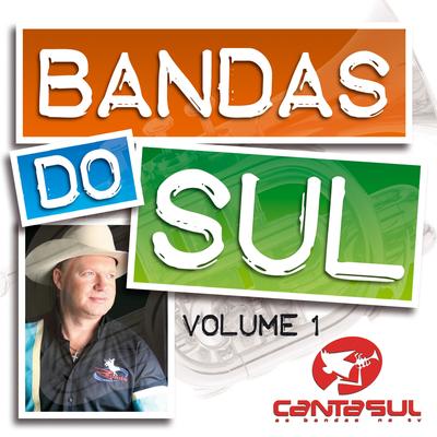 Bandas do Sul, Vol. 1's cover