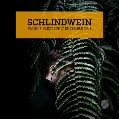 Welcome By Schlindwein's cover