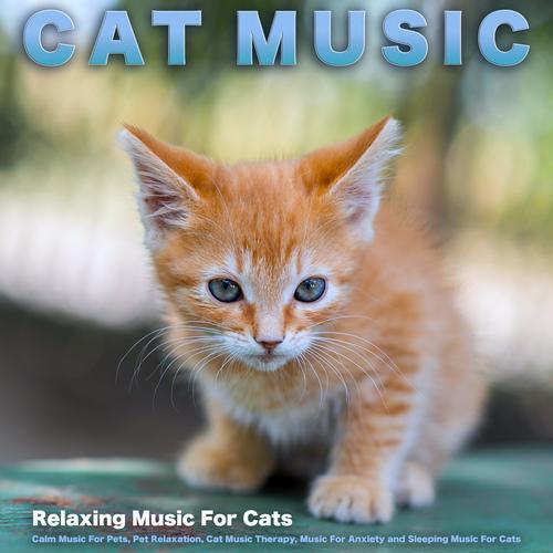 I calm 2024 cat music