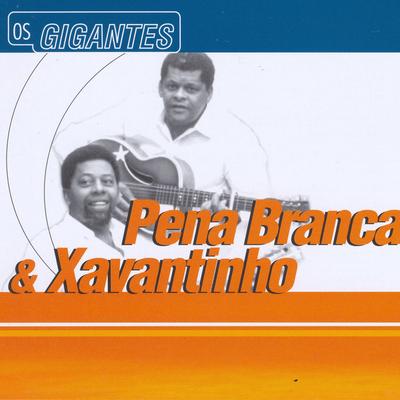 Pena Branca & Xavantinho's cover