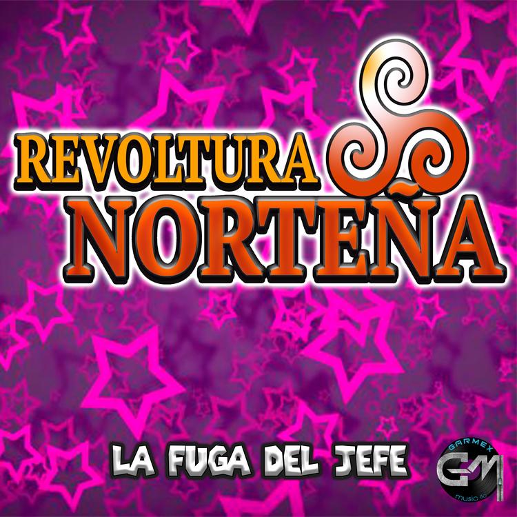 Revoltura Norteña's avatar image