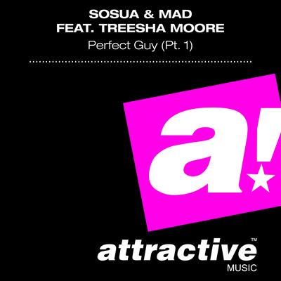 Perfect Guy (Original Mix)'s cover