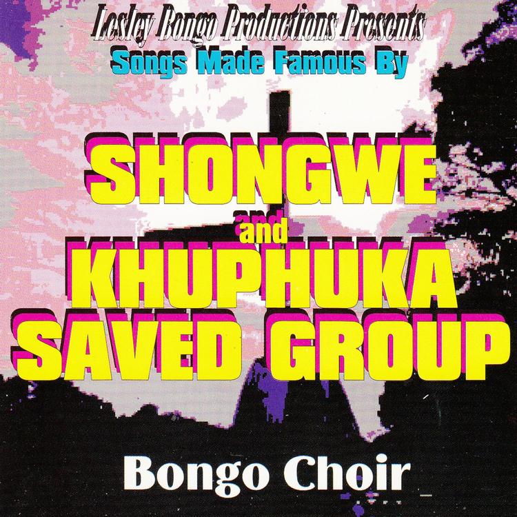 Bongo Choir's avatar image