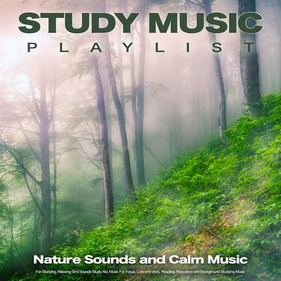 Calm Bird Sounds for Studying By Study Playlist, Study Music, Studying Music's cover