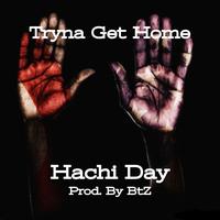 Hachi Day's avatar cover