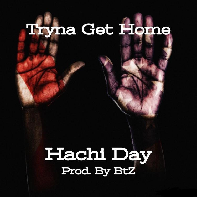 Hachi Day's avatar image