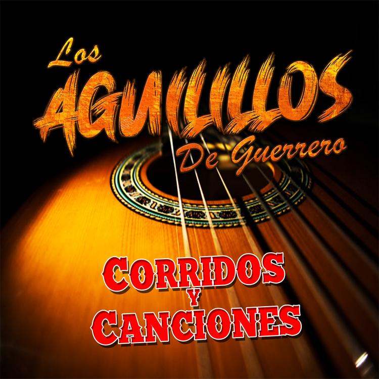 Los Aguilillos De Guerrero's avatar image