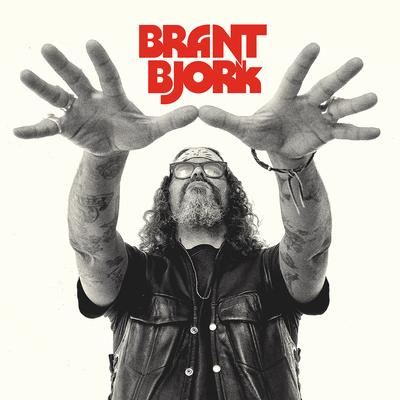 Mary (You're Such a Lady) By Brant Bjork's cover