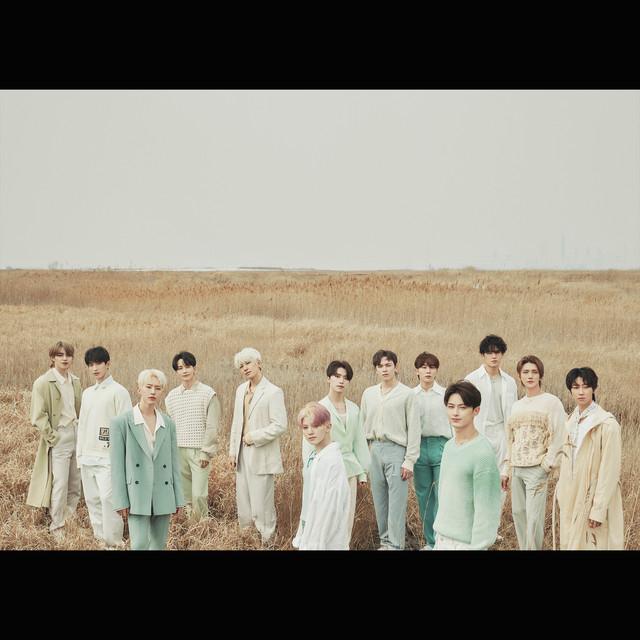 Seventeen's avatar image