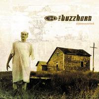 The Buzzhorn's avatar cover