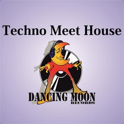 Techno Meet House's cover