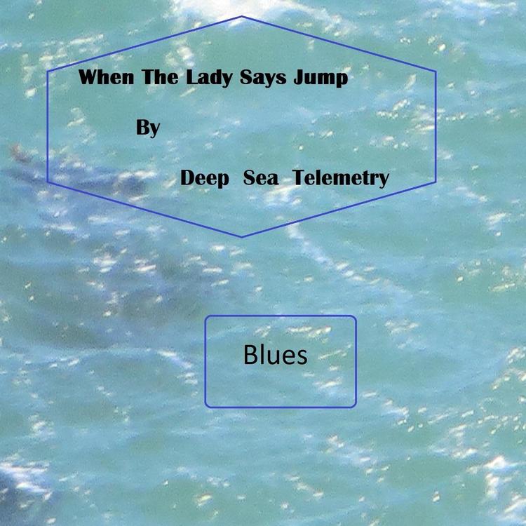 Deep Sea Telemetry's avatar image