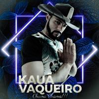 Kauã Vaqueiro   Chama Chama !!!'s avatar cover
