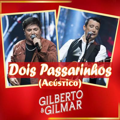 Dois Passarinhos (Acústico) By Gilberto e Gilmar's cover