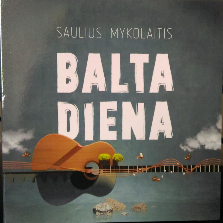 Saulius Mykolaitis's avatar image