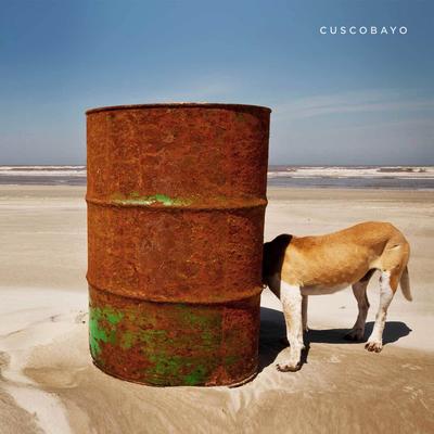 Dakar By Cuscobayo's cover