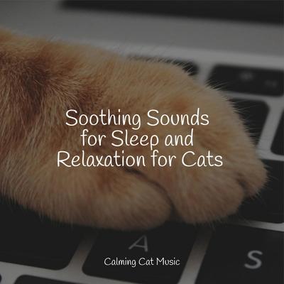 Music For Cats's cover