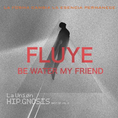 Fluye. Be Water My Friend's cover