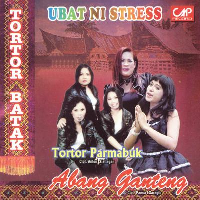 Tor Tor Batak - Ubat Ni Stress's cover