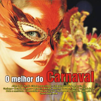 Bota a camisinha By Various Artists's cover