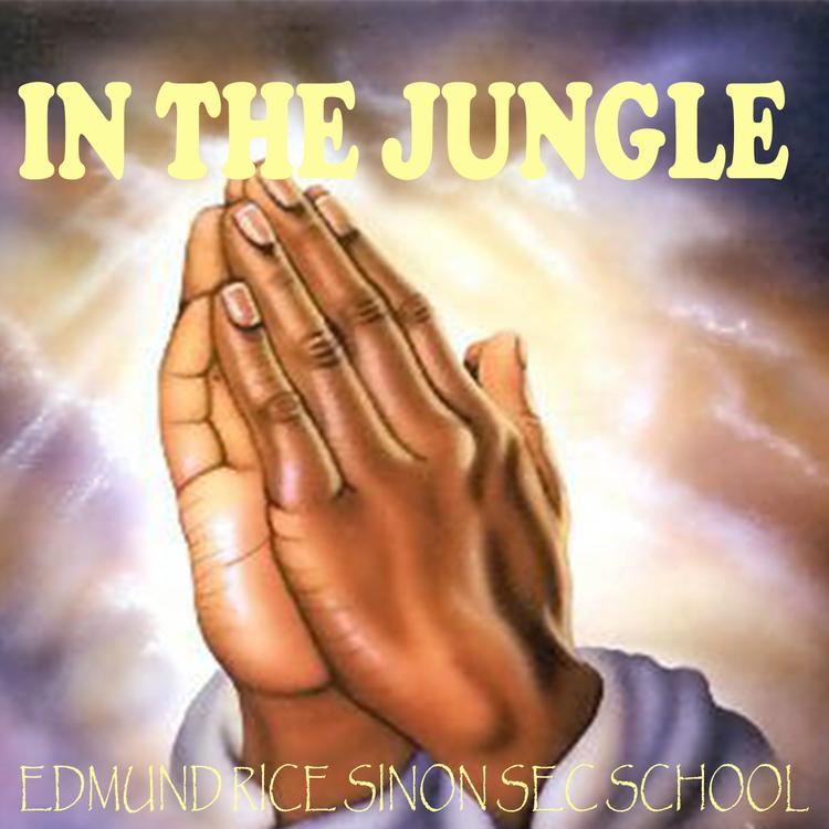 Edmund Rice Sinon Secondary School's avatar image