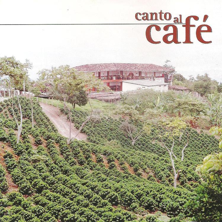 Dueto Cafe's avatar image