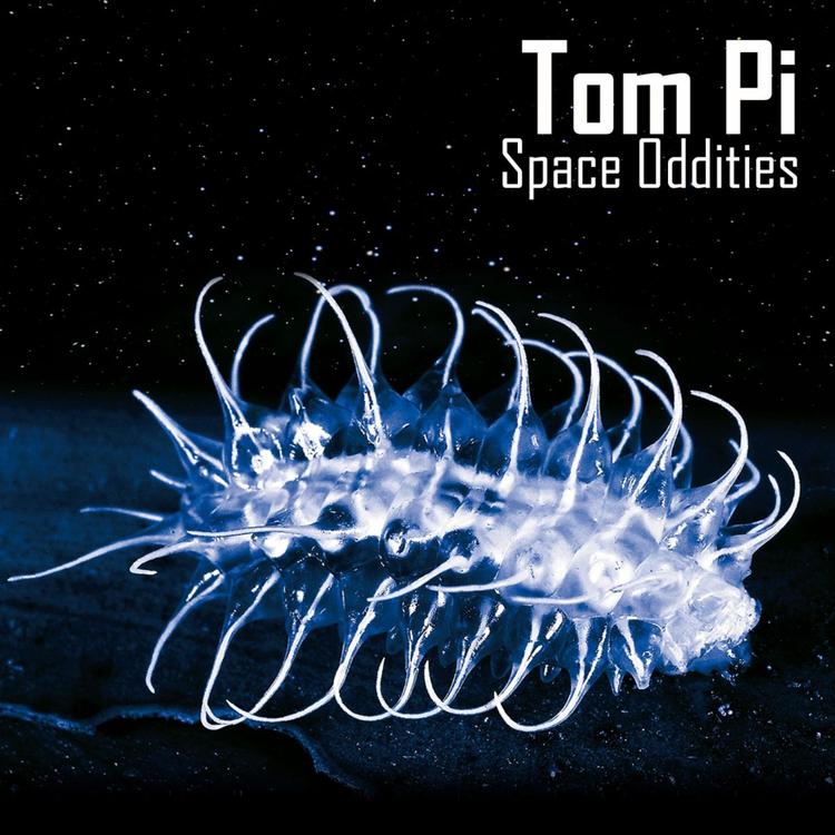Tom Pi's avatar image
