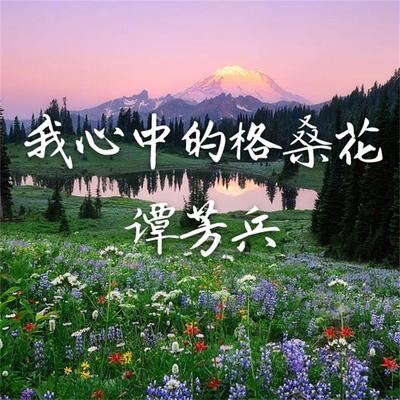 我心中的格桑花's cover