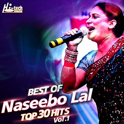 Best of Naseebo Lal Top 30 Hits, Vol. 1's cover