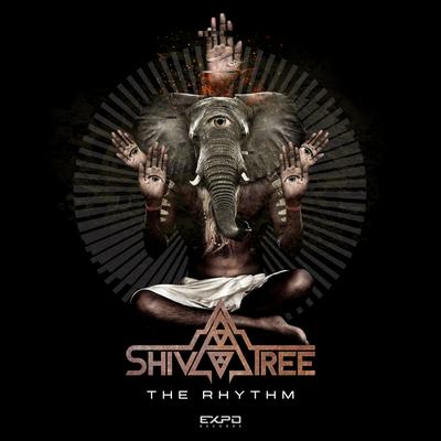 The Rhythm By Shivatree's cover