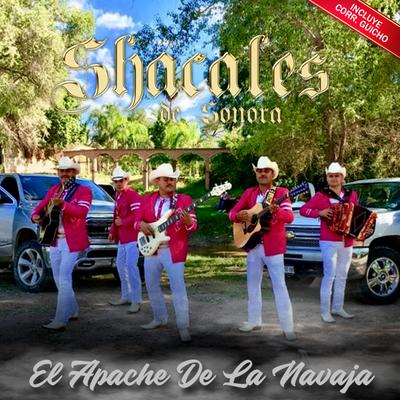 Los Shacales de Sonora's cover