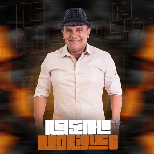 Nelsinho Rodrigues's cover