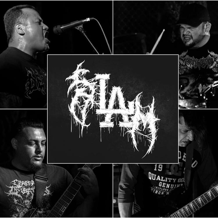 Stages Of Decomposition's avatar image