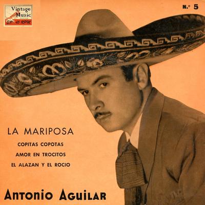 Amor En Trocitos (Ranchera)'s cover