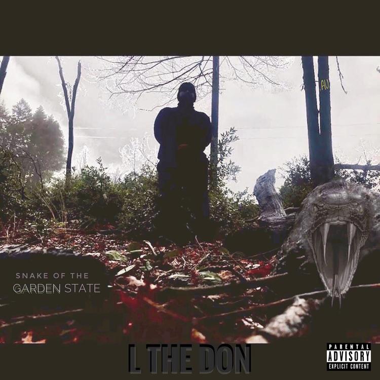 L The Don's avatar image
