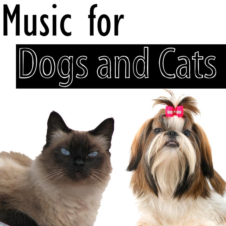 Pet Music Masters's avatar image