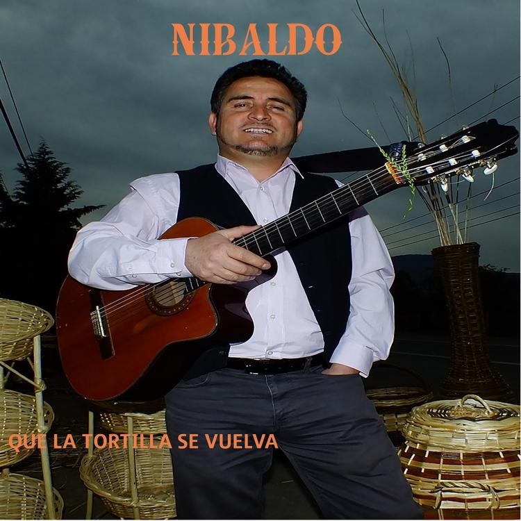 Nibaldo's avatar image